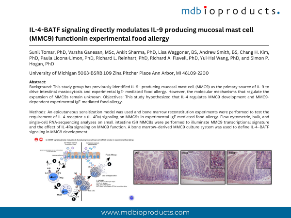 Featured Publication in Focus: IL-4–BATF signaling directly modulates IL-9 producing mucosal mast cell (MMC9) function in experimental food allergy.