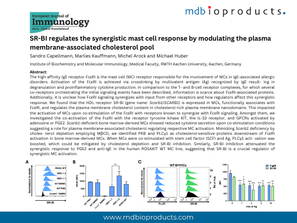 Featured Publication in Focus:  SR-BI regulates the synergistic mast cell response by modulating the plasma membrane-associated cholesterol pool