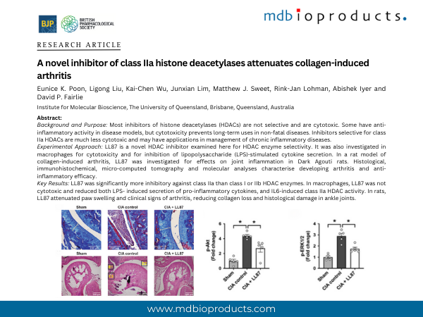 Featured Publication in Focus: A novel inhibitor of class IIa histone deacetylases attenuates collagen-induced arthritis