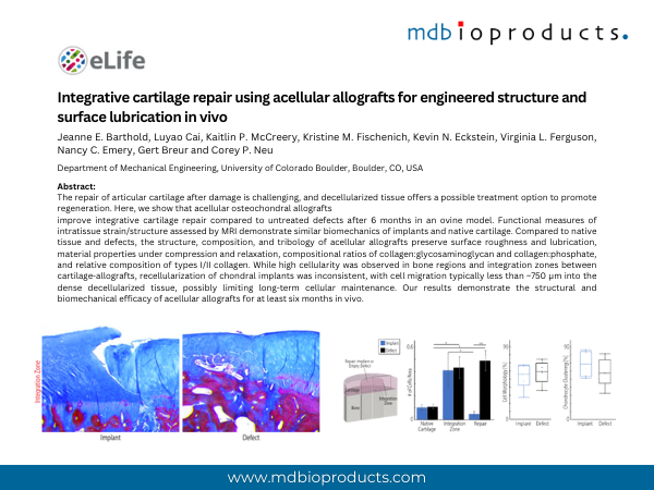 Featured Publication in Focus: Integrative cartilage repair using acellular allografts for engineered structure and surface lubrication in vivo