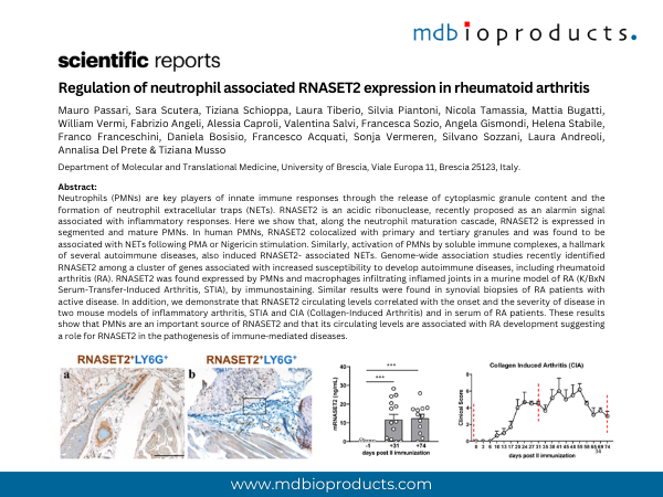 Featured Publication in Focus: Regulation of neutrophil associated RNASET2 expression in rheumatoid arthritis