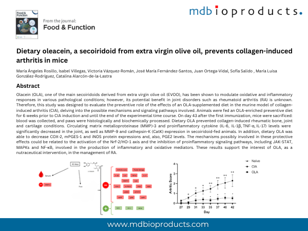 Featured Publication in Focus: Dietary oleacein, a secoiridoid from extra virgin olive oil, prevents collagen-induced arthritis in mice
