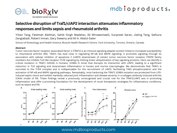 Featured Publication in Focus: Selective disruption of Traf1/cIAP2 interaction attenuates inflammatory responses and limits sepsis and rheumatoid arthritis