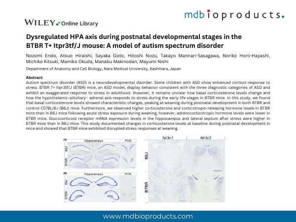 Featured Publication in Focus: Dysregulated HPA axis during postnatal developmental stages in the BTBR T+ Itpr3tf/J mouse: A model of autism spectrum disorder