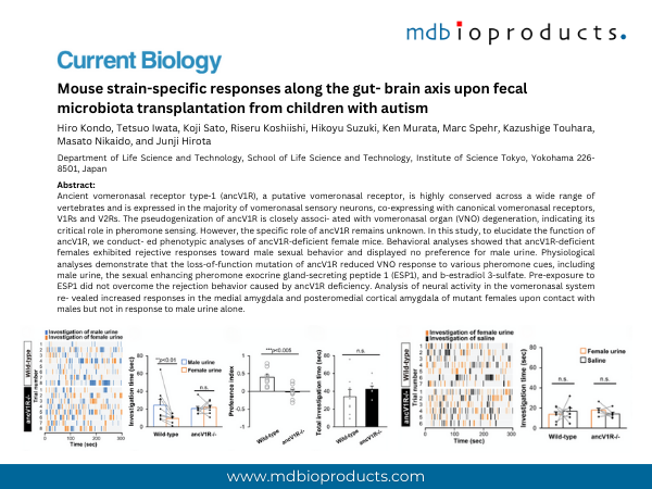 Featured Publication in Focus: Impaired pheromone detection and abnormal sexual behavior in female mice deficient for ancV1R