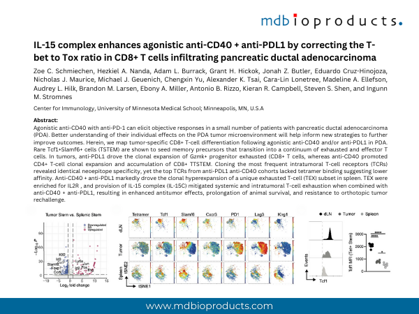 Featured Publication in Focus: IL-15 complex enhances agonistic anti-CD40 + anti-PDL1 by correcting the T-bet to Tox ratio in CD8+ T cells infiltrating pancreatic ductal adenocarcinoma