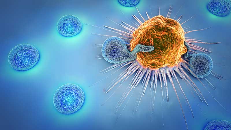 The Pathology of the IL-33/T1/ST2 Pathway: Harmin’ Alarmin