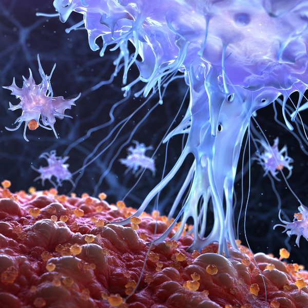 Autoimmunity