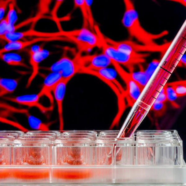 Cell Culture and Related Reagents