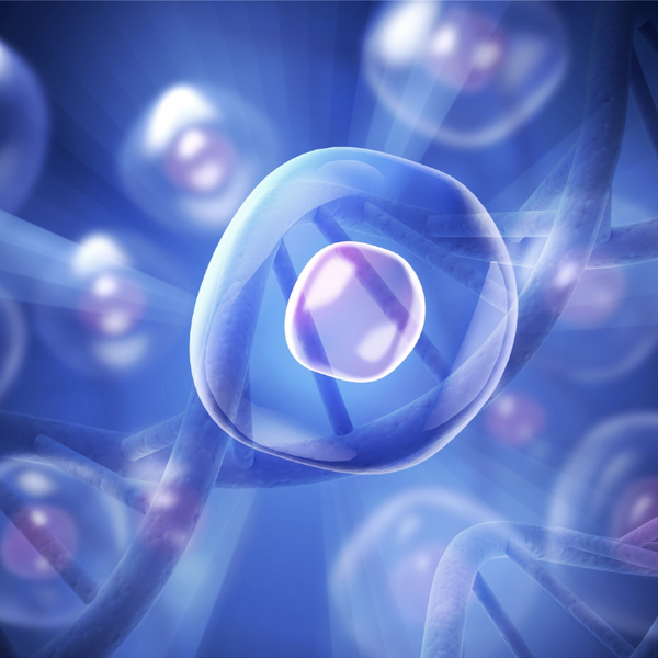 Cell Signaling Pathways