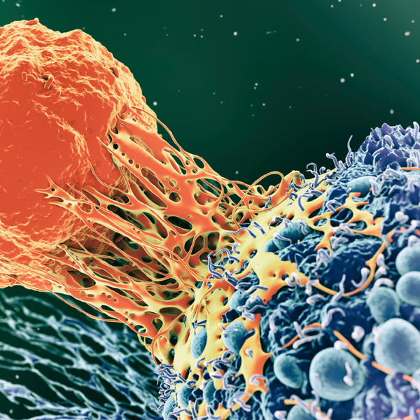 Immunology