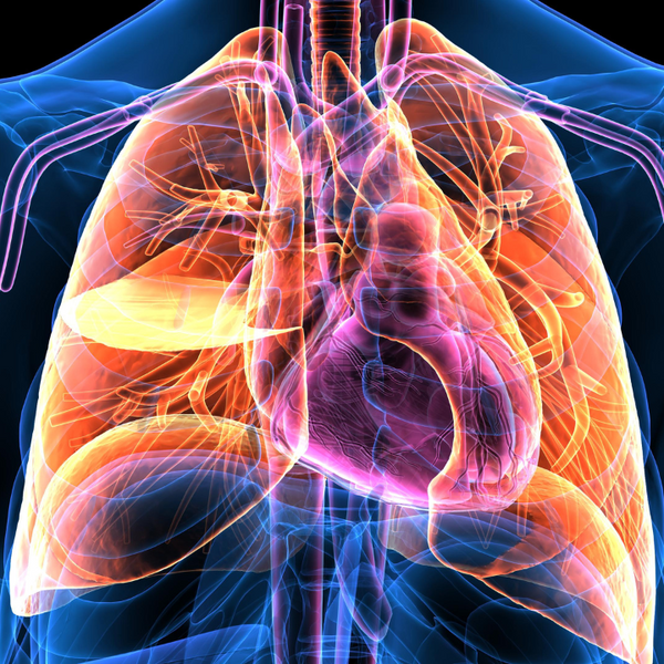 Respiratory Disease