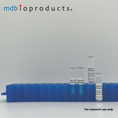 Aggrecan Antibody FFGV, MD Bioproducts