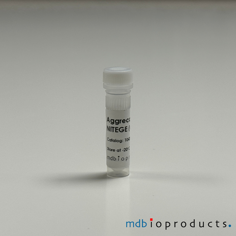 Aggrecan Antibody C-terminal Neoepitope NITEGE, Aggrecan & Cartilage, Antibodies, MD Bioproducts, MD Biosciences
Keywords: aggrecan antibody, aggrecan monoclonal antibody, nitege, neoepitope