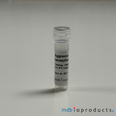 Aggrecan Antibody, N-termina Neoepitope DIPEN, Monoclonal Antibody, MD Bioproducts, MD Biosciences
Keywords: aggrecan antibody, aggrecan monoclonal antibody, dipen