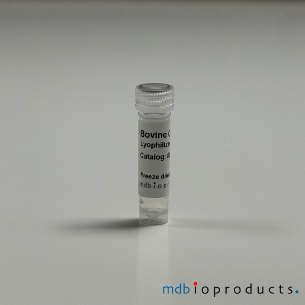 Bovine Collagen Type VI, Lyophilized, 0.1mg