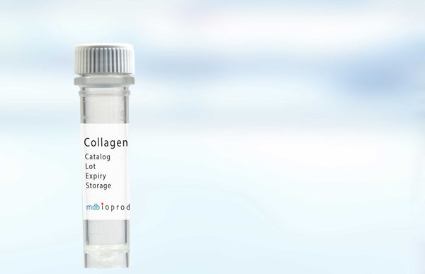 Human Collagen Type I, Lyophilized  0.1 mg