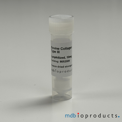 Collagen Type III, Bovine, Protein, Cell Culture, MD Bioproducts, MD Biosciences
Keywords: collagen, collagen for joint research, propeptide, type 3 collagen, bovine collagen