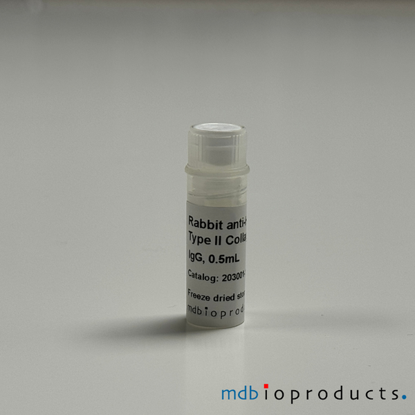 Collagen Type II Antibody, anti-Human, 100 uL