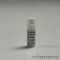 Collagen Type II Antibody, Anti-Human, Antibodies, MD Bioproducts, MD Biosciences
