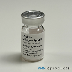 Collagen Type II, Chicken, Lyophilized, Collagen-Induced Arthritis, Chicken type II Collagen, MD Bioproducts, MD Biosciences
Keywords: alpha-1 chain of type II collagen, alpha-1(II) chains, COL2A1, CII, Chicken CII, Collagen Type 2, Chicken Collagen Type 2