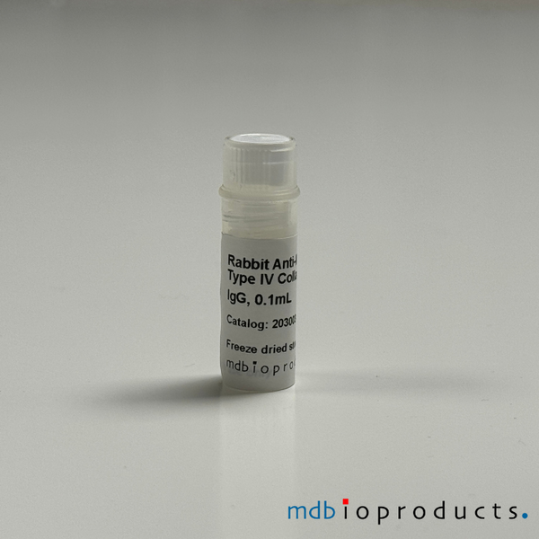 Collagen Type IV Antibody, anti-Mouse, 100 uL