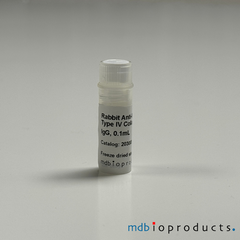 Collagen Type IV Antibody, Anti-Mouse, Antibodies, MD Bioproducts, MD Biosciences