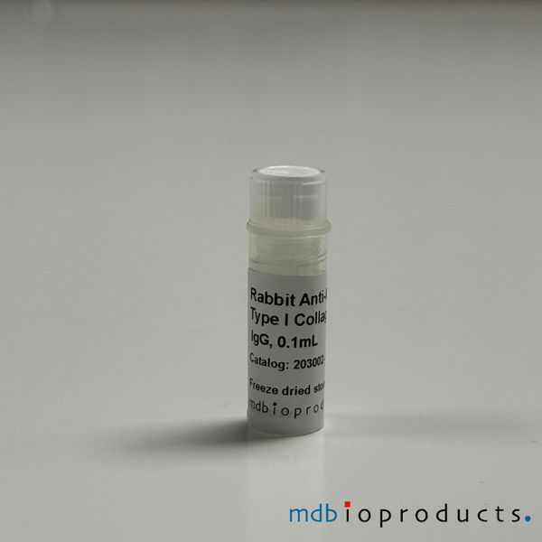 Collagen Type I Antibody, anti-Mouse, 100 uL