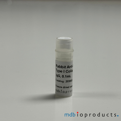 Collagen Type I Antibody, Anti-Mouse, Antibodies, MD Bioproducts, MD Biosciences