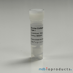 Collagen Type I, Bovine, Protein, Cell Culture, MD Bioproducts, MD Biosciences