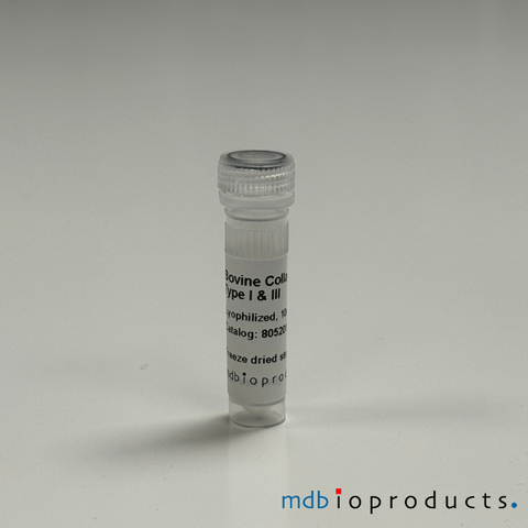 Collagen Type I and III, Bovine, Protein, Cell Culture, MD Bioproducts, MD Biosciences
Keywords: collagen type 1 and 3, bovine collagen type 1, bovine collagen type 1 and 3, collagen typ 1, collagen, collagen for joint research, collagen for arthritis research, inflammation research
