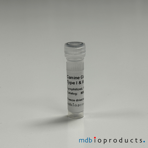Collagen Type I and III, Canine, Protein, Cell Culture, MD Bioproducts, MD Biosciences
Keywords: collagen type 1 and 3, canine collagen type 1, canine collagen type 1 and 3, collagen typ 1, collagen, collagen for joint research, collagen for arthritis research, inflammation research, canine collagen