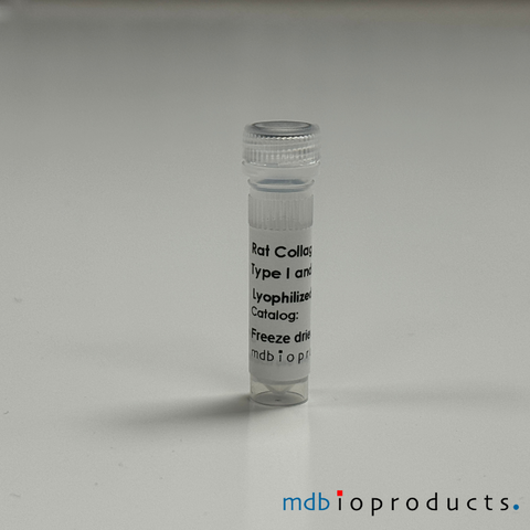 Collagen Type I and III, Rat, Protein, Cell Culture, MD Bioproducts, MD Biosciences