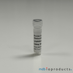 Collagen Type V (Atelocollagen), Bovine