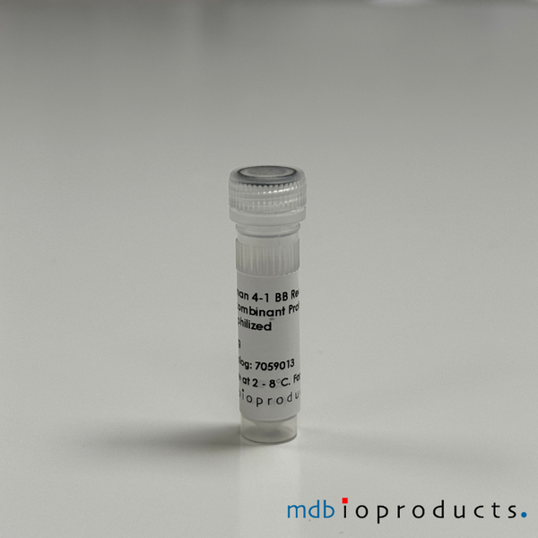 4-1BB Receptor (CD137) Recombinant Protein, Human, 20ug