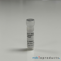 Human 4-1BB Receptor (CD137), Recombinant Protein, Cell Signaling Protein, MD Bioproducts, MD Biosciences