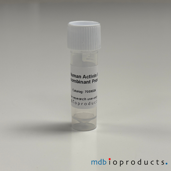 Stem Cells