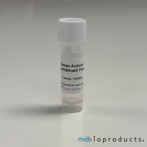 Human Activin A Recombinant Protein, MD Bioproducts, MD Biosciences