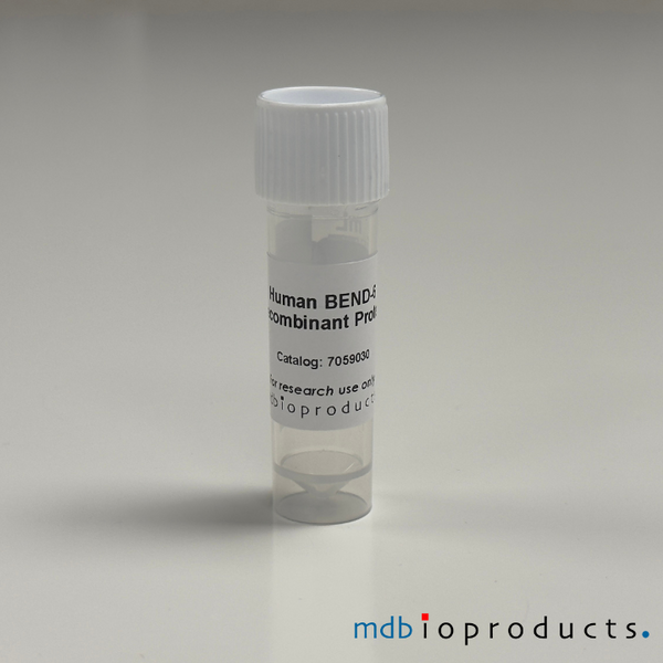 BEND-6 Recombinant Protein (Human), 20ug