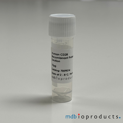 Human CD28, Recombinant Protein, Cell Signaling Pathways, MD Bioproducts, MD Biosciences