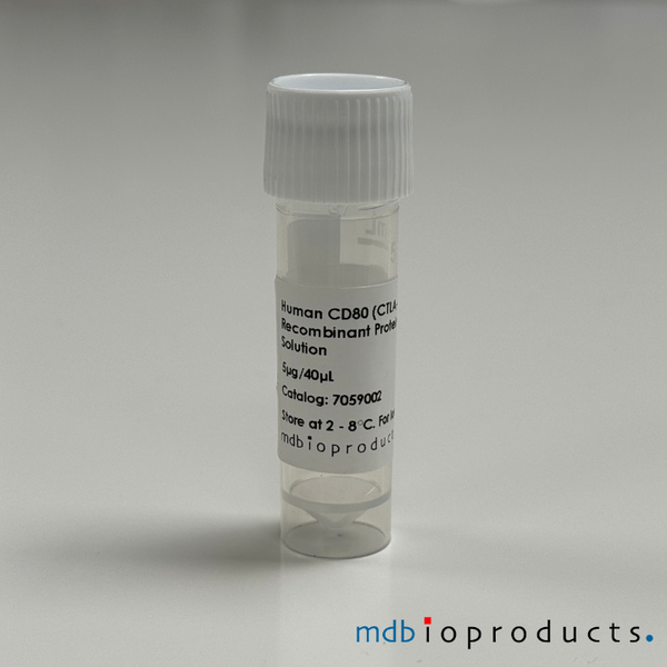 CD80 (CTLA-4 / B7-1) Recombinant Protein, Human, 5ug