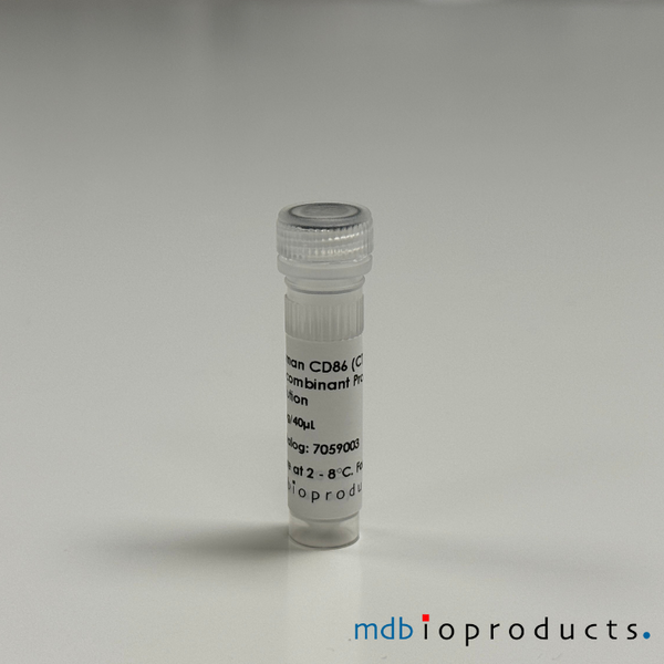 CD86 (CTLA-4 / B7-2) Recombinant Protein, Human, 20ug