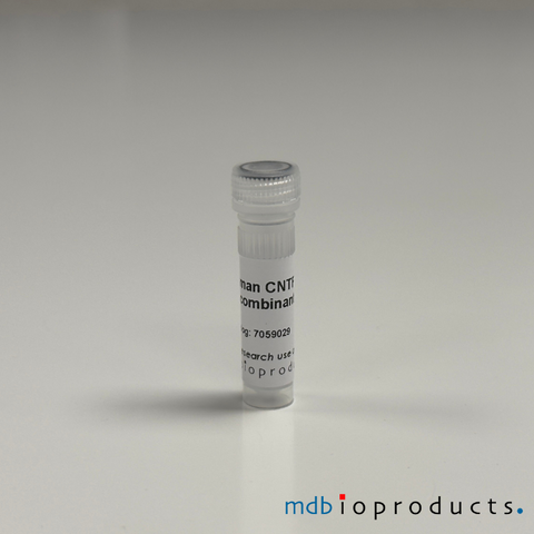 Human CNTF Recombinant Protein, MD Bioproducts, MD Biosciences