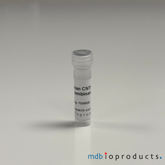 Human CNTF Recombinant Protein, MD Bioproducts, MD Biosciences