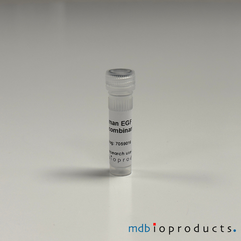 Human EGF Recombinant Protein, MD Bioproducts, MD Biosciences