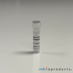 Human EGF Recombinant Protein, MD Bioproducts, MD Biosciences