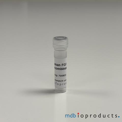 Human FGF-8 Recombinant Protein, MD Bioproducts, MD Biosciences