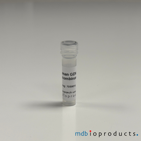 Human GDNF Recombinant Protein, MD Bioproducts, MD Biosciences