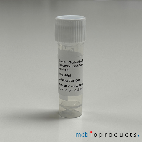 Human Galectin-9 (LGALS9), Recombinant Protein, Cell Signaling Pathways, MD Bioproducts, MD Biosciences