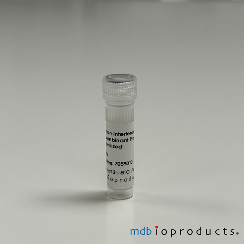 Human Interferon-Gamma (IFN-g), Recombinant Protein, Cell Signaling Pathways, MD Bioproducts, MD Biosciences